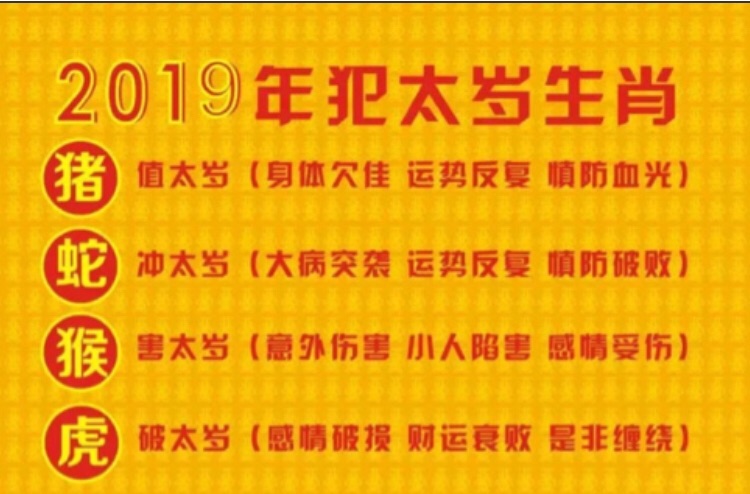 属马人2019年运势运程每月运程_宋韶光2023属羊的兔年运程_2023属猪运程