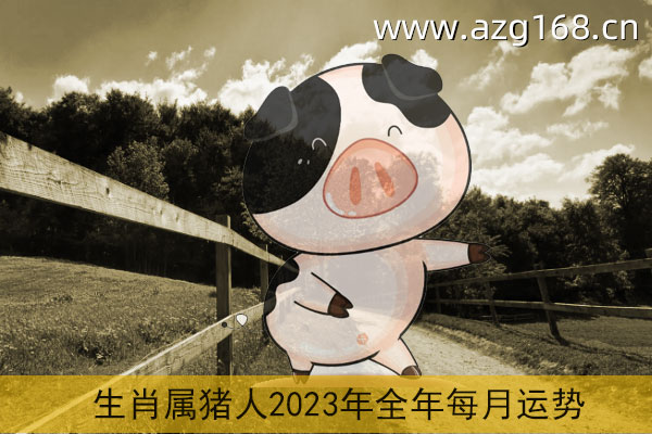 2023年属虎人全年运势_2023属猪的全年运势_2012属猪人全年运势