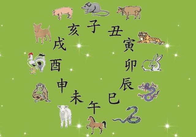 姓名属木跟火的名字大全_属 猪姓名张泽命运及三才配置_属狗姓名