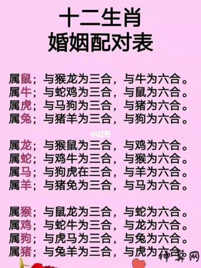 十二生肖最佳配对表格 查一下生肖配对,算命十二生肖配对