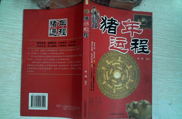 最近几年工作压力大，收入也不好，不知未来财运如何