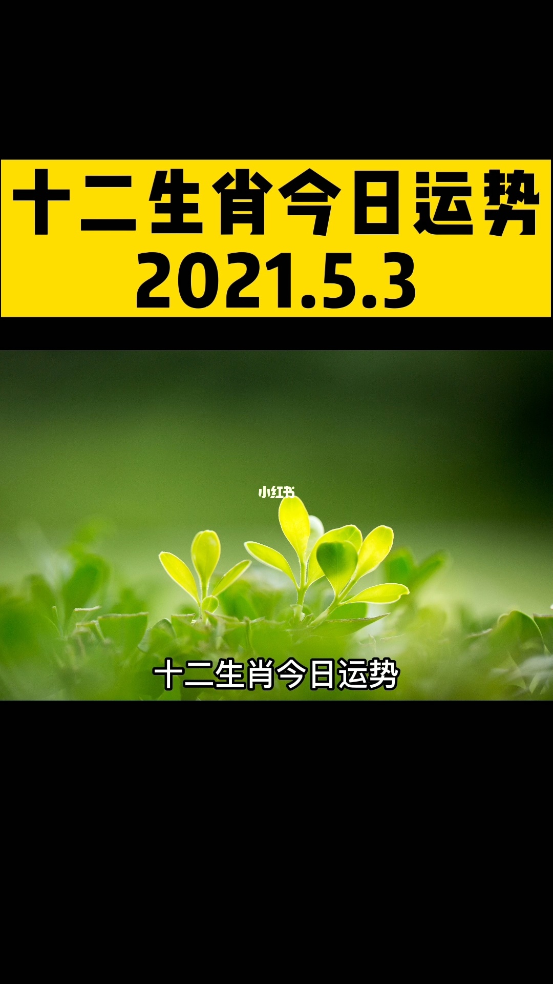 【必看】2021年7月5日十二生肖每日运程解析