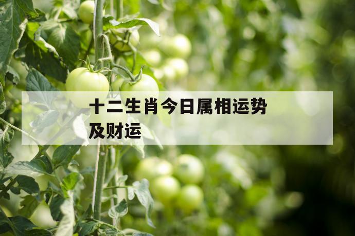 【必看】2021年7月5日十二生肖每日运程解析