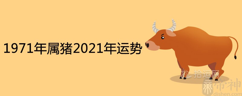 1971年属猪2021年全年运势详解 50岁有一灾是真的吗