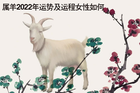 罗李华属羊人2022年运势及运程2022整体运势