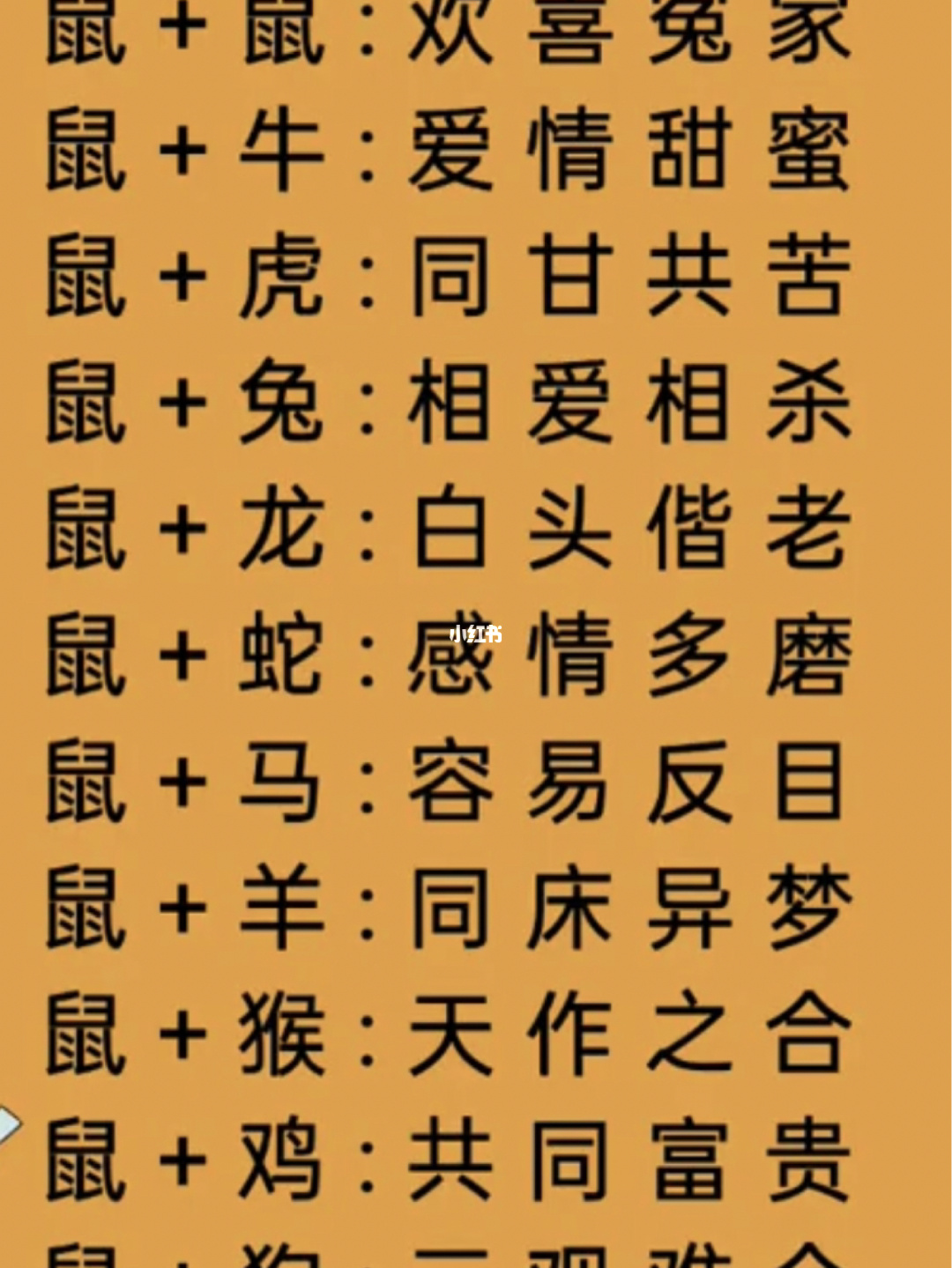 二月生的人属相配对直觉男性最佳生肖配对女性