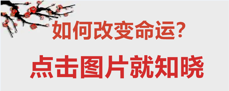 82年属狗人适合养几条鱼？养八条还是九条鱼