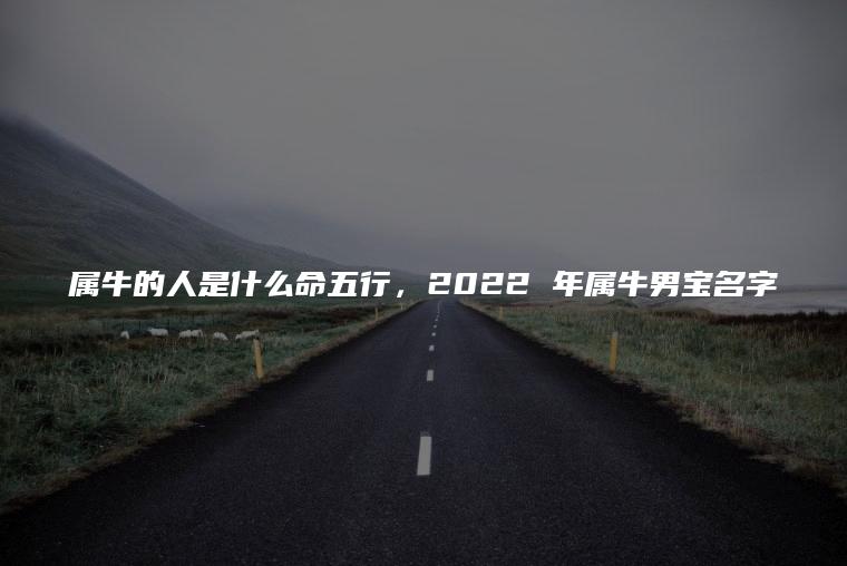 属牛的人是什么命五行，2022 年属牛男宝名字