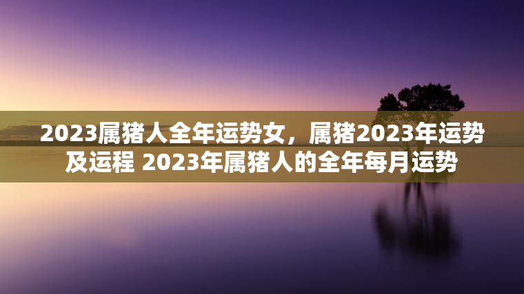 2023属猪人全年运势女，属猪2023年运势及运程 2023年属猪人的全年每月运势