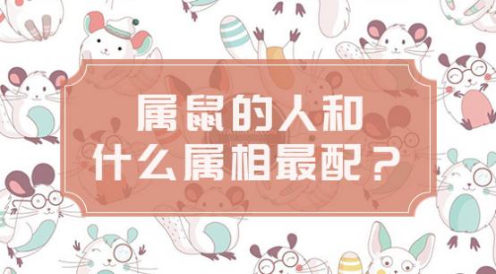 属鼠的人和声么生肖最配？