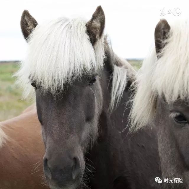 风水堂：什么样的人最旺财