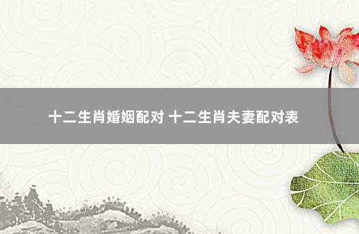 风水堂：婚姻八字属相搭配中吉是什么意思