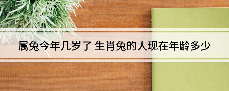 2018年属兔的人几岁，虚岁104岁！