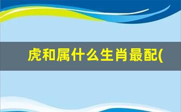 十二生肖最宜找个属猪的对象是谁？