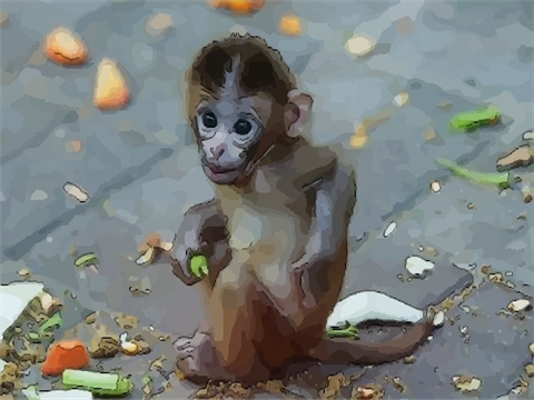九月出生的生肖猴，终身衣食不愁，财源丰厚