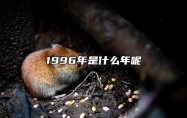 1996年是什么年呢 1996年是什么年号