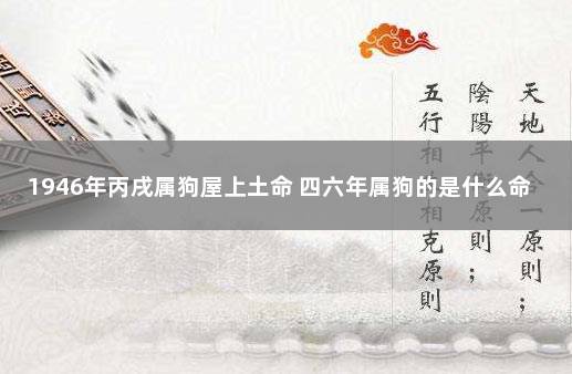 丙戌年出生的人是什么命？年五行属什么