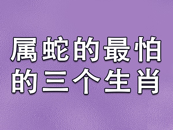 蛇年与虎年的人相冲吗？与寅虎的关系