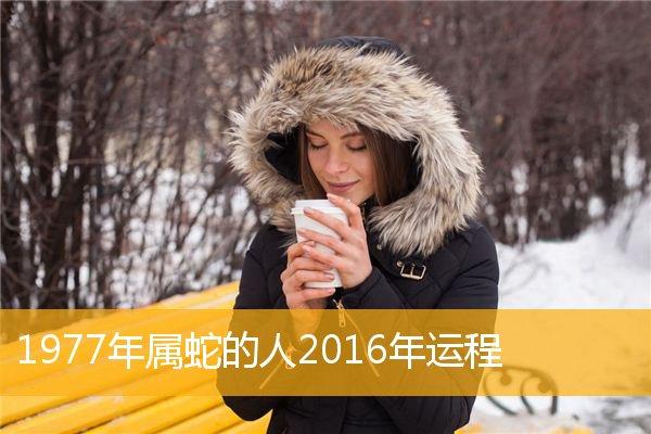 2019年为自己招来财运的话，有助于自己发展