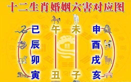 风水堂:什么时候合八字最适合