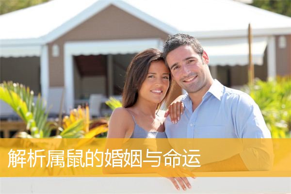 属鼠的命运与婚姻如何、2017年十二生肖人的四大运程