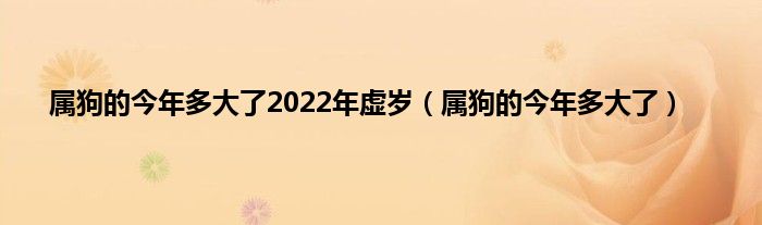 生肖狗的人出生命运详解，你是哪种？