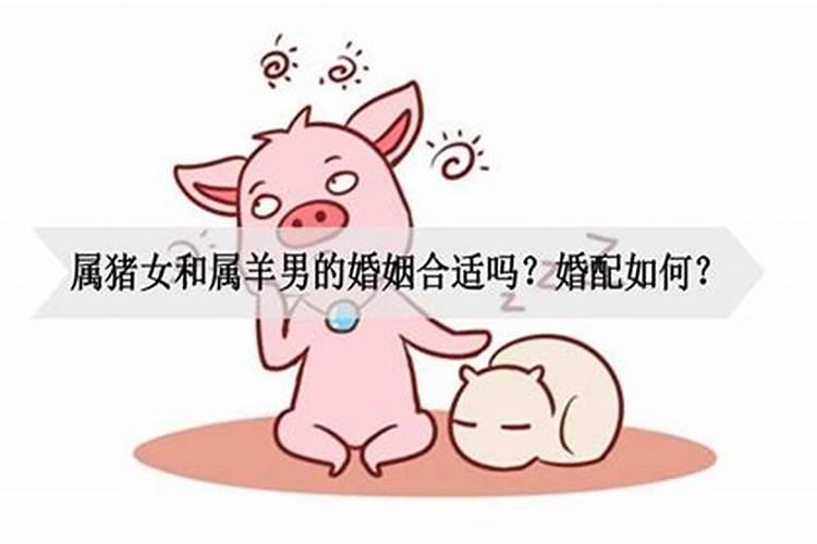 猪和羊相配婚如何呢？属猪的人憨厚老实