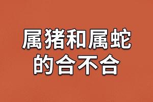 为什么属猪和属蛇相冲怎么化解？相