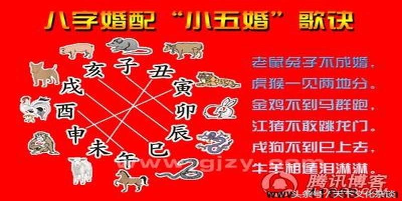 属兔人在2022年生虎宝宝有什么影响？