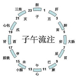 十二时辰相冲相生相克，十二时辰对照表生辰八字命格