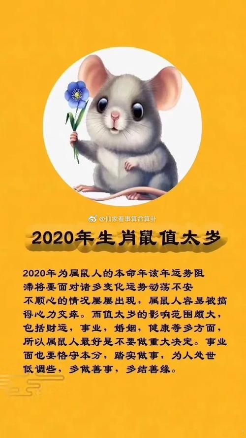 2024年十二生肖鼠运势怎样的呢？