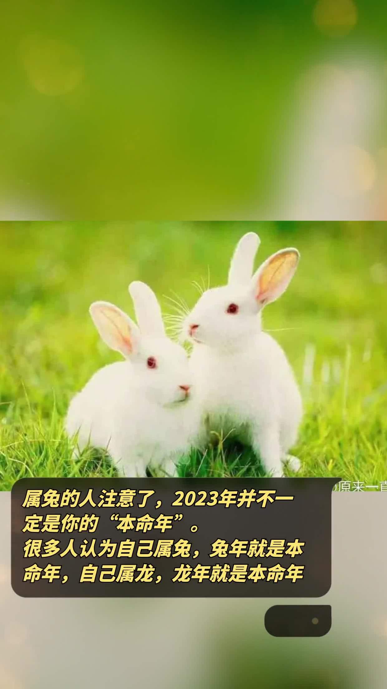 2023年属兔人的本命年运势好不好？