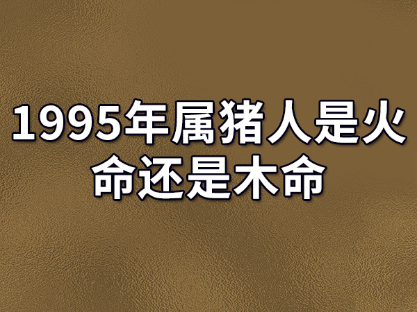 1995 年出生的生肖猪幸运数字是多少？属猪人幸运色又是什么？