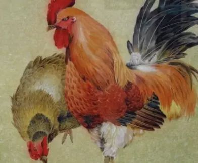 中国传统文化中的属相：属鸡的过了 42 岁就顺了，有科学依据吗？
