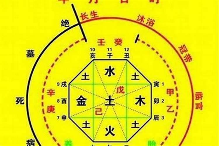 属虎人的最佳出生年份，你知道吗？快来了解一下吧