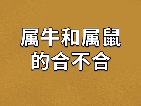 生肖配对：鼠+牛，性格互补的最佳组合