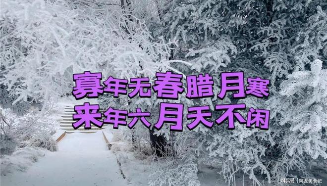 生肖属相更替计算时间大揭秘：是元旦、大年初一还是立春？