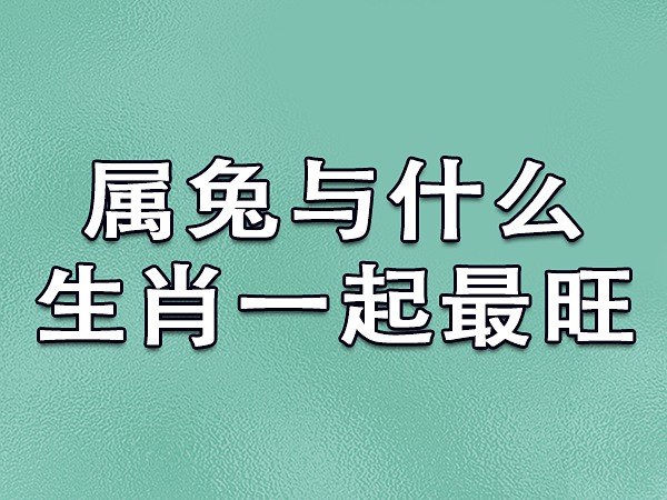 1995 年属猪男的最佳配偶：属羊、兔、虎，属相相配，幸福美满